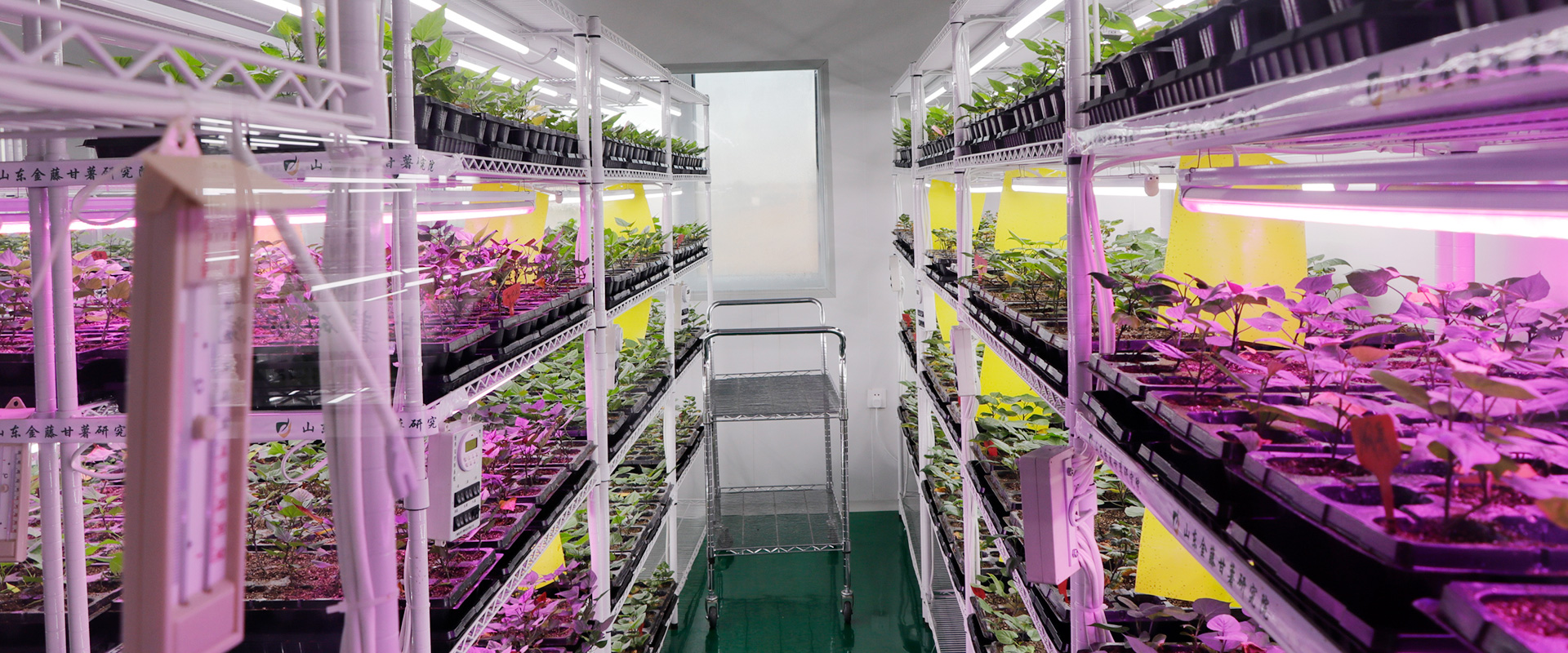 激光氣體分析儀